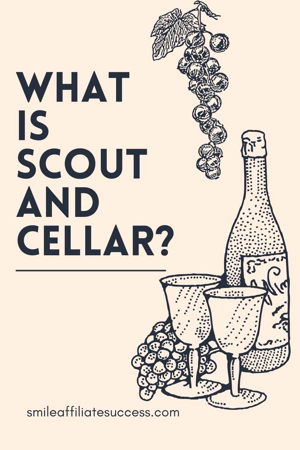 What Is Scout And Cellar?