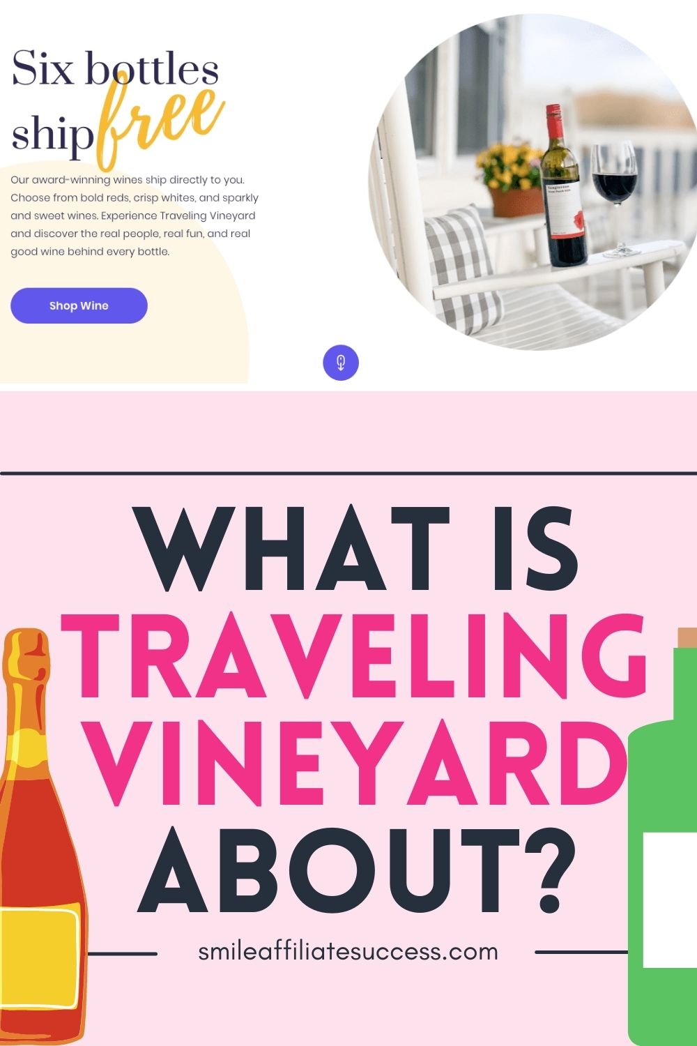 What Is Traveling Vineyard About?