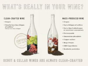 What Is Scout And Cellar? - Clean crafted wine