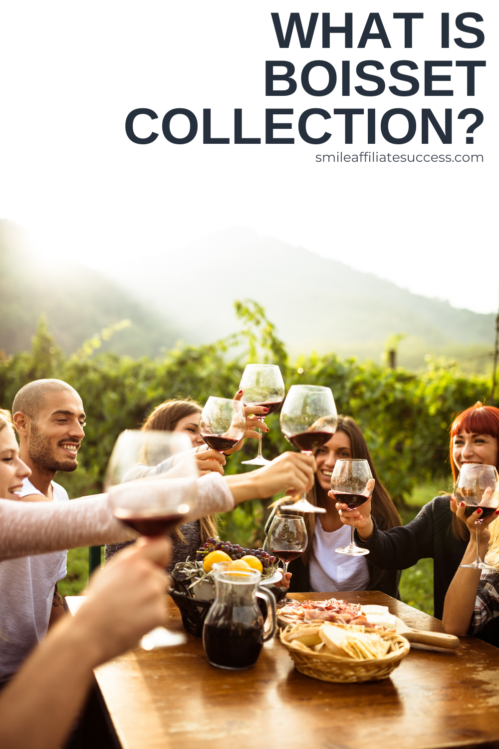 What Is Boisset Collection?