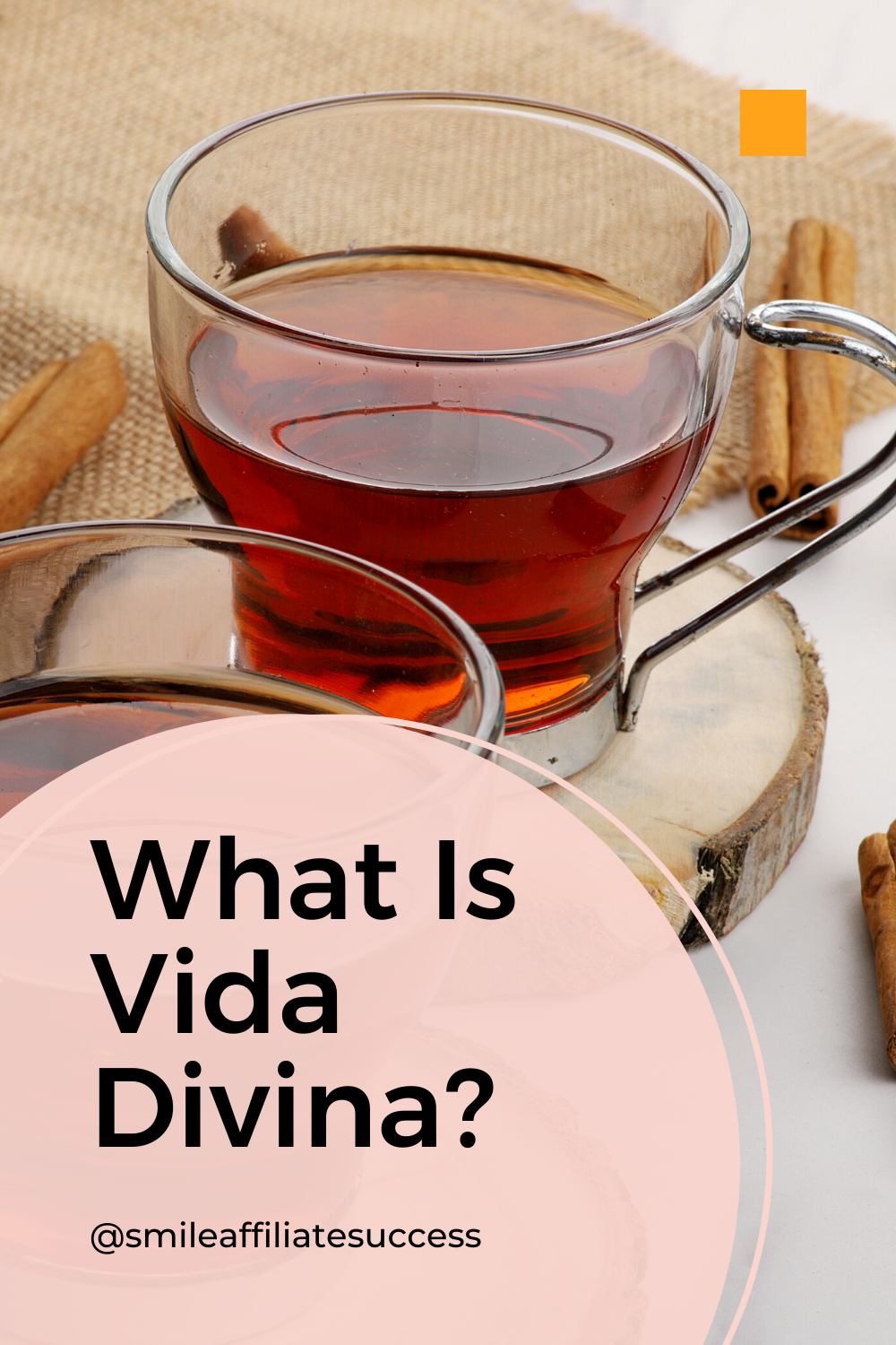 What Is Vida Divina?