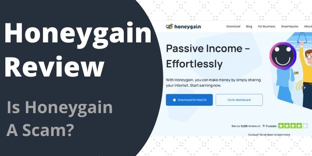 Is Honeygain A Scam?