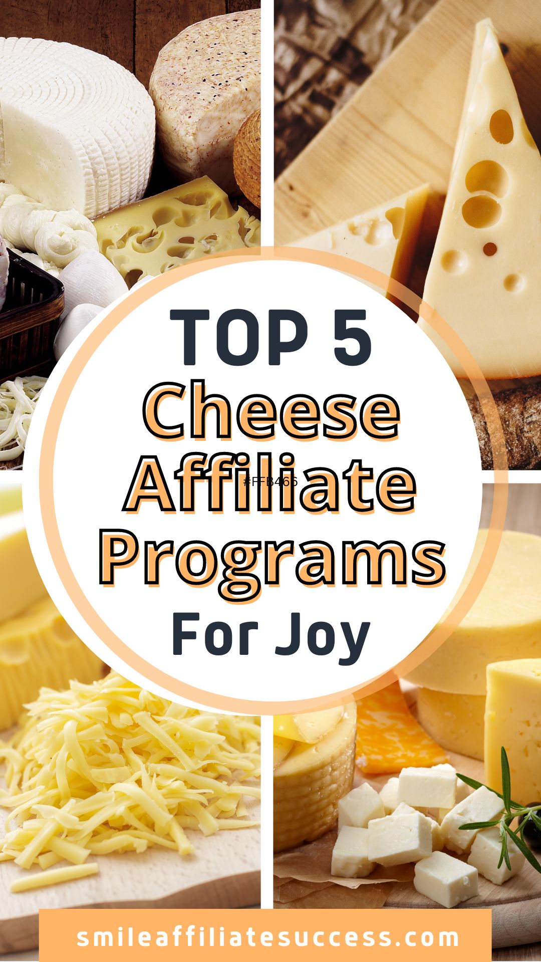Top 5 Cheese Affiliate Programs! Say Cheese!!