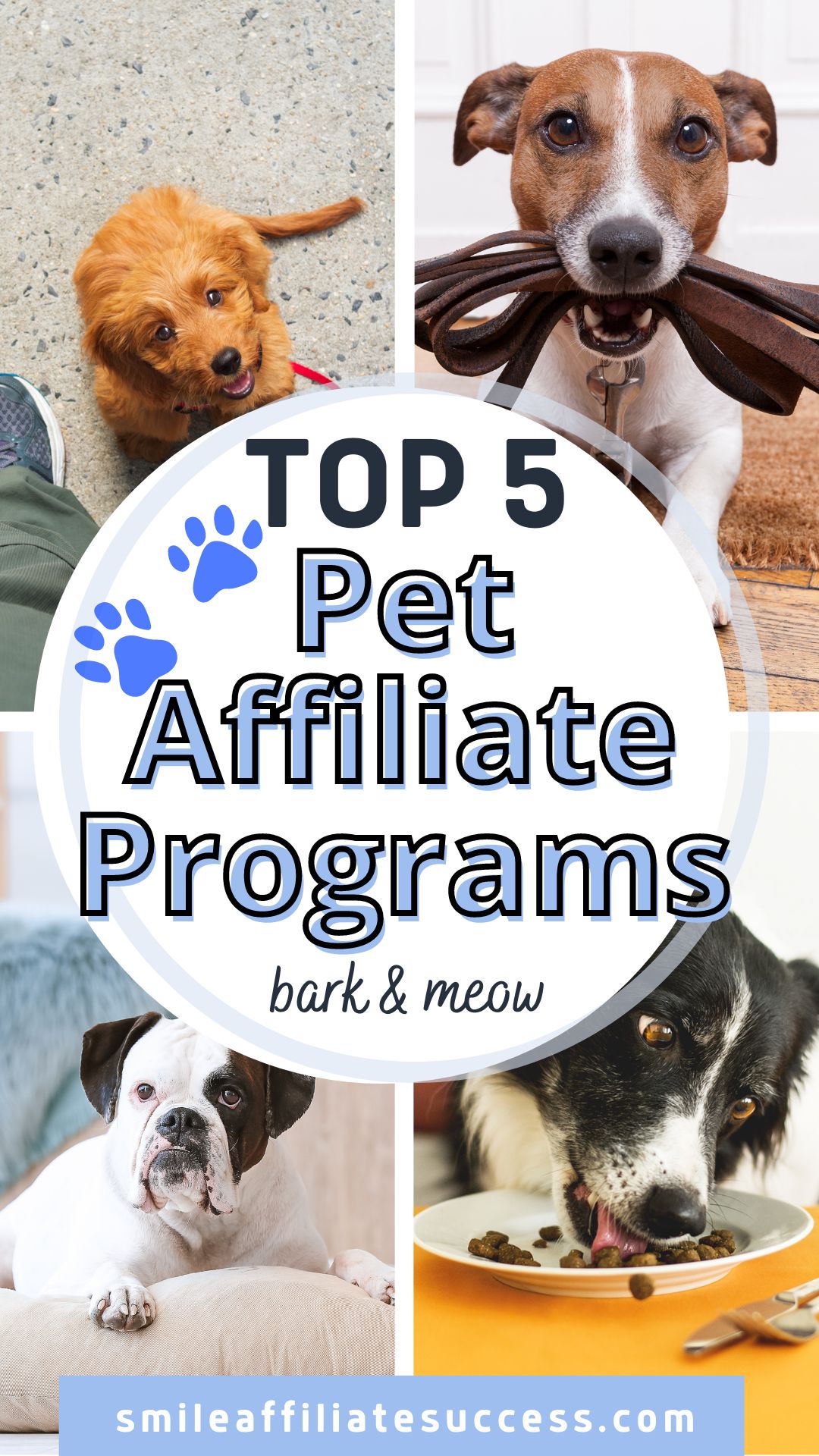 Top 6 Pet Affiliate Programs