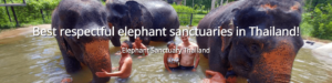Elephant-Sanctuary-Thailand