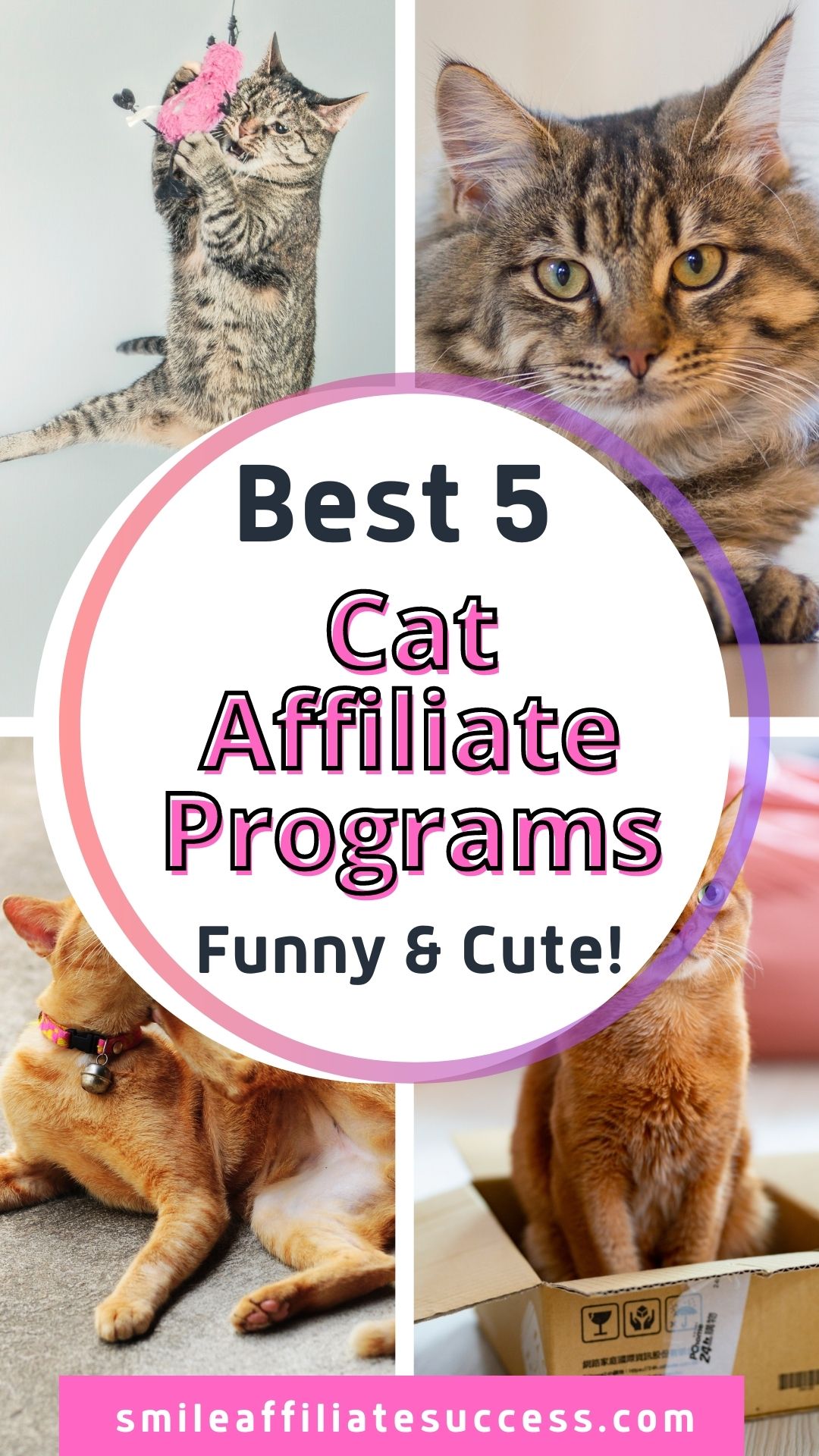 Best 5 Cat Affiliate Programs