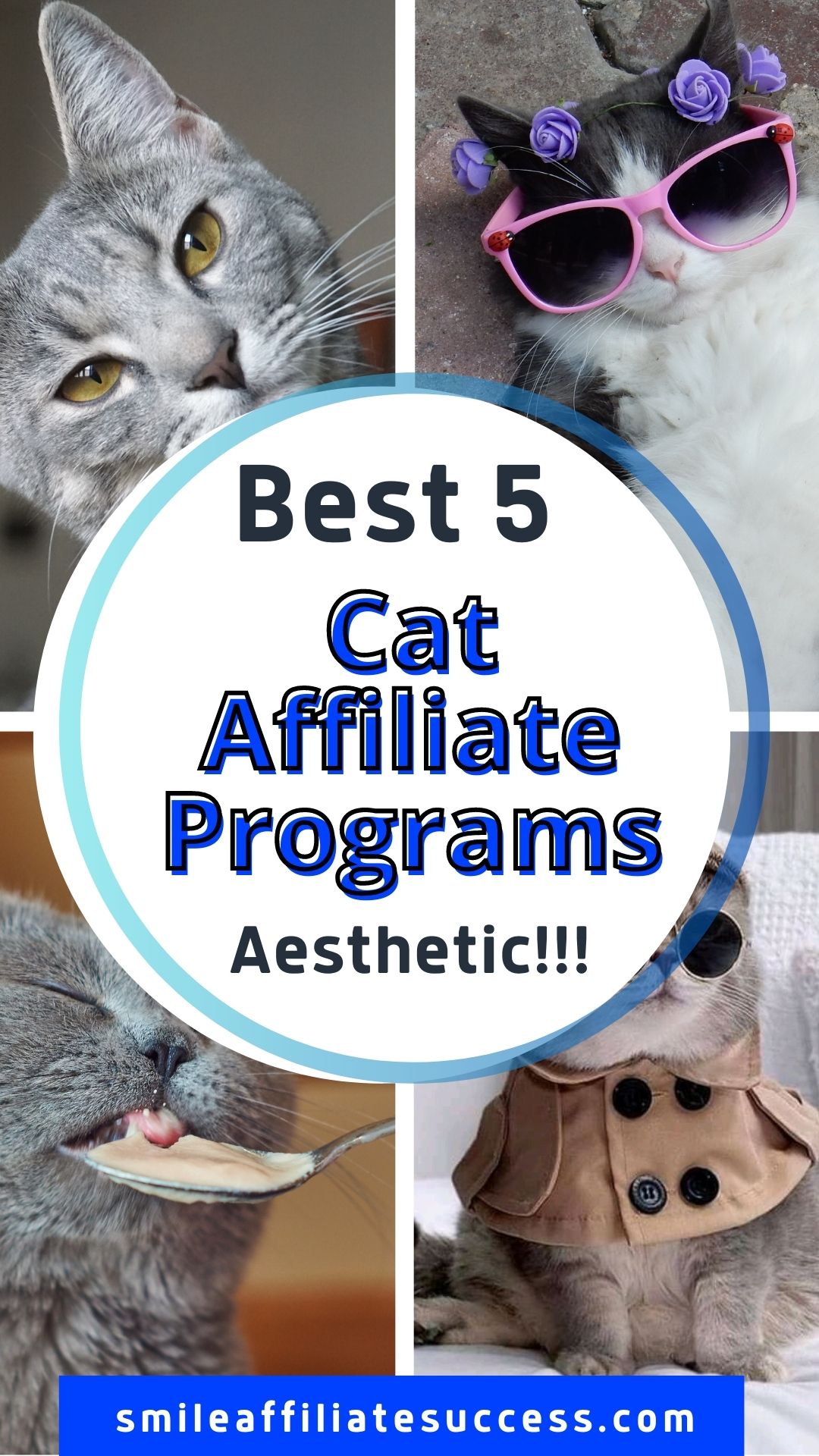 Best 5 Cat Affiliate Programs