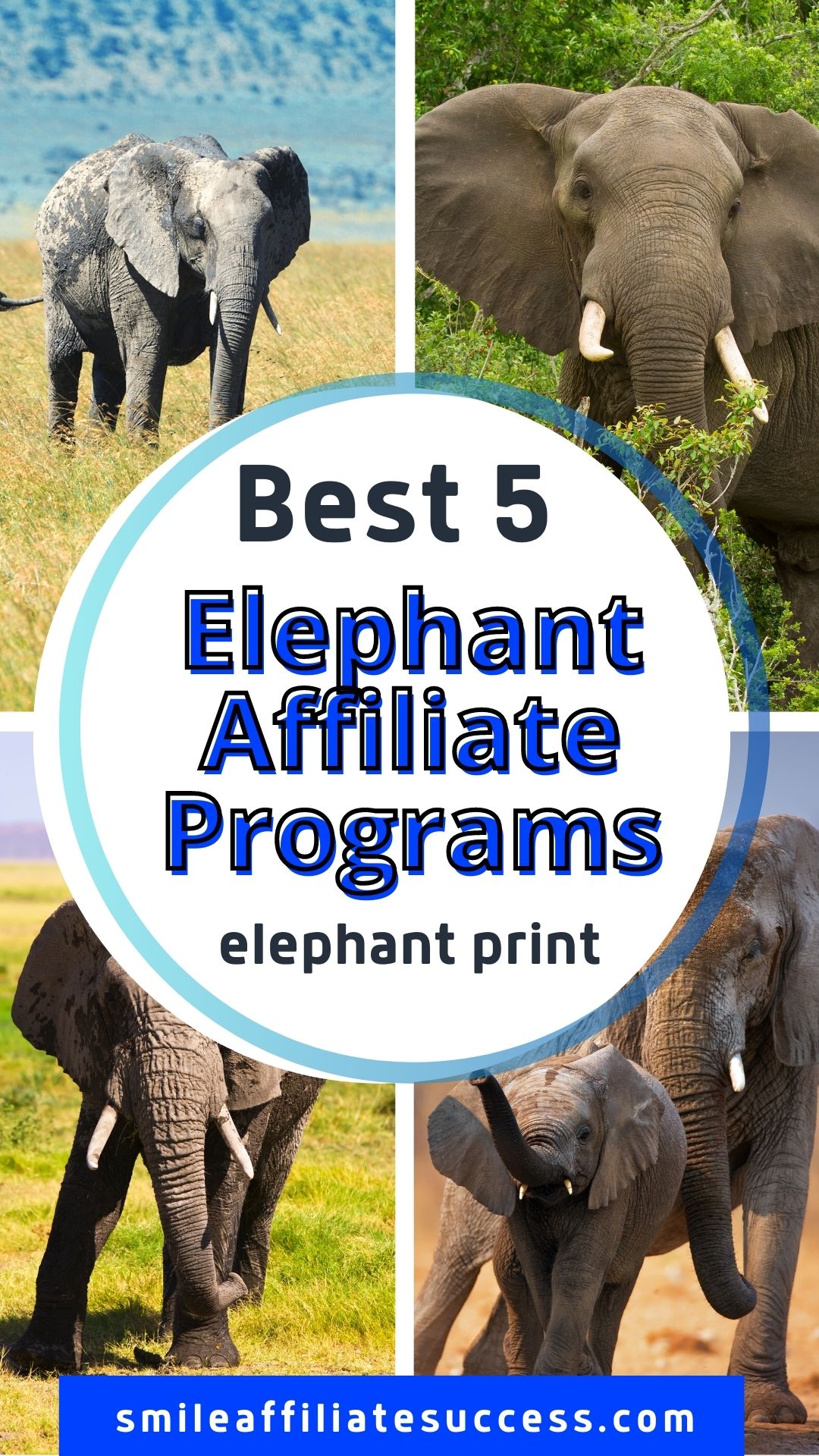 Best 3 Elephant Affiliate Programs