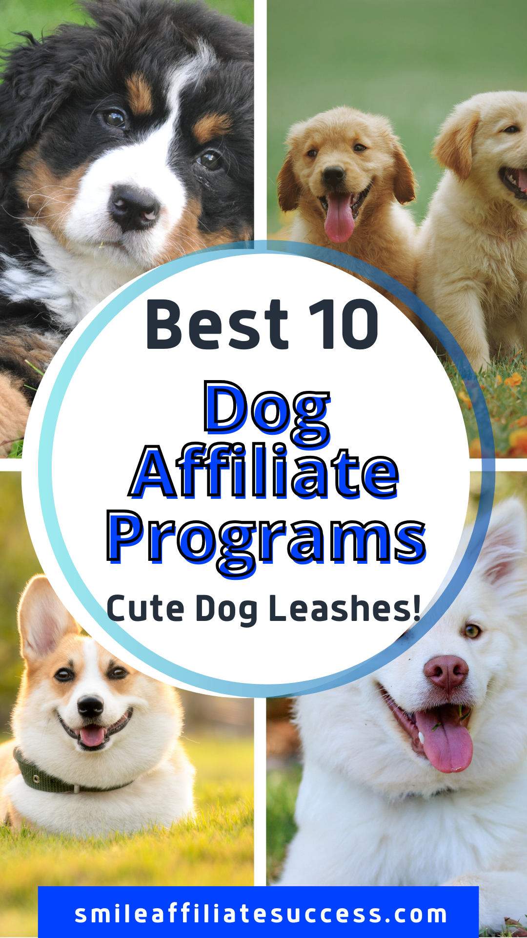 Best 10 Dog Affiliate Programs