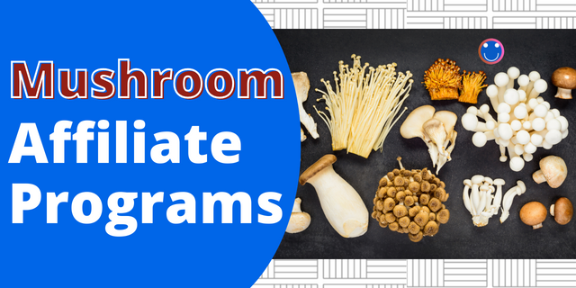 Mushroom Affiliate Programs